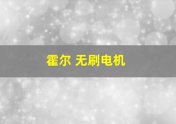 霍尔 无刷电机